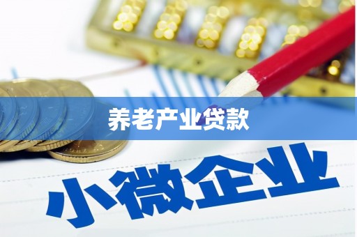 会东养老产业贷款