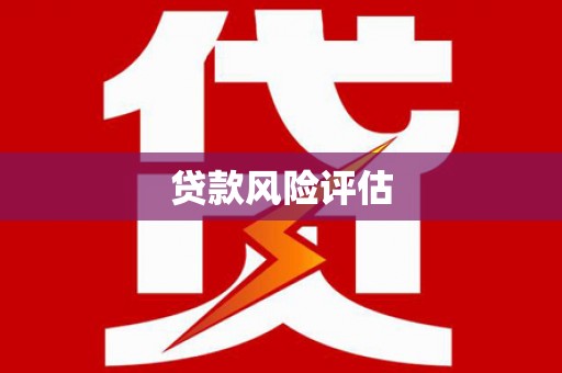 会东贷款风险评估