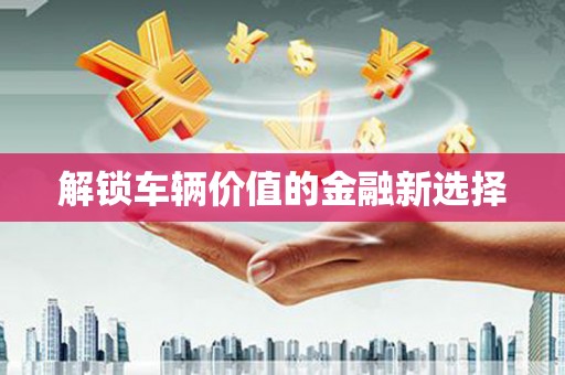 会东解锁车辆价值的金融新选择