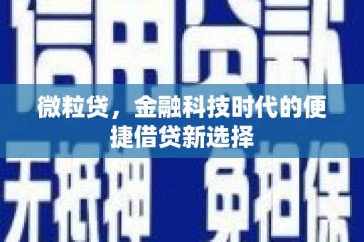 会东微粒贷，金融科技时代的便捷借贷新选择