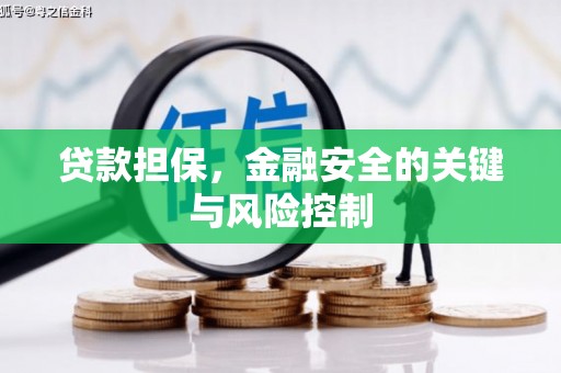 会东贷款担保，金融安全的关键与风险控制