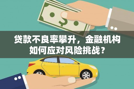 会东贷款不良率攀升，金融机构如何应对风险挑战？