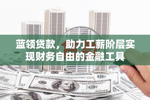 会东蓝领贷款，助力工薪阶层实现财务自由的金融工具
