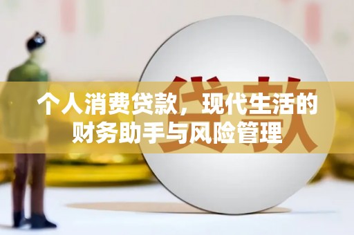 会东个人消费贷款，现代生活的财务助手与风险管理