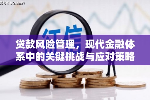 会东贷款风险管理，现代金融体系中的关键挑战与应对策略