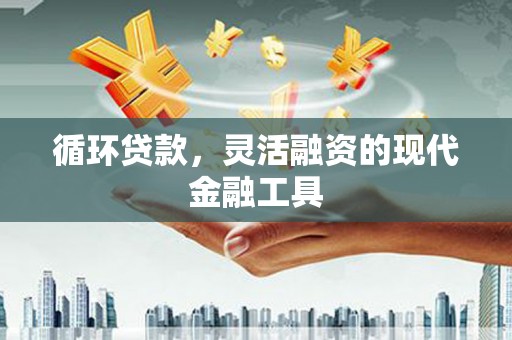 会东循环贷款，灵活融资的现代金融工具