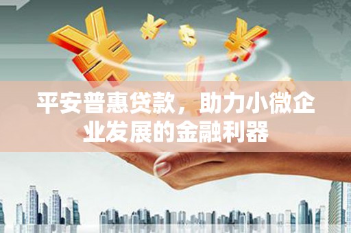 会东平安普惠贷款，助力小微企业发展的金融利器