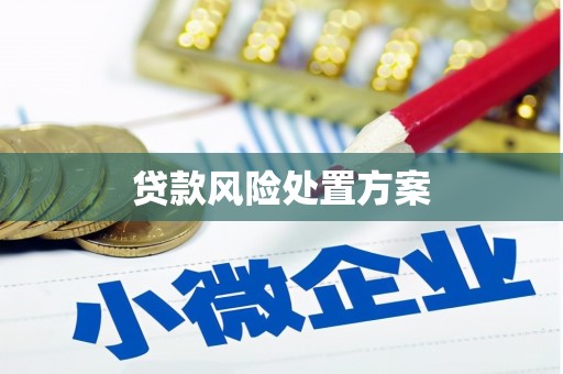 会东贷款风险处置方案