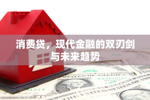 会东消费贷，现代金融的双刃剑与未来趋势