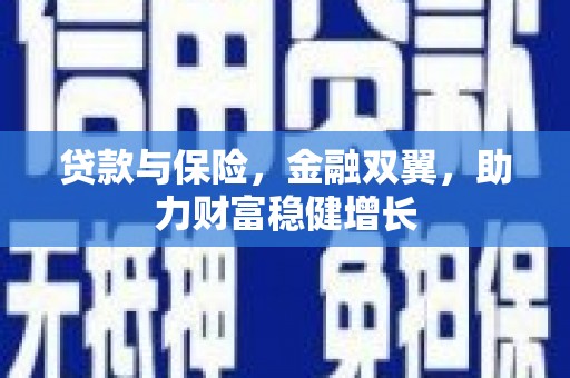 会东贷款与保险，金融双翼，助力财富稳健增长