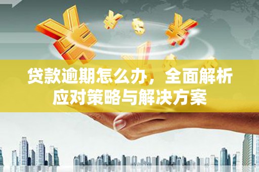 会东贷款逾期怎么办，全面解析应对策略与解决方案