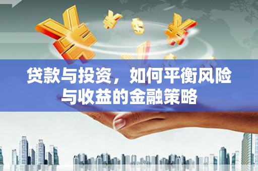会东贷款与投资，如何平衡风险与收益的金融策略