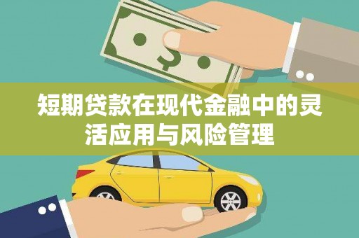 会东短期贷款在现代金融中的灵活应用与风险管理