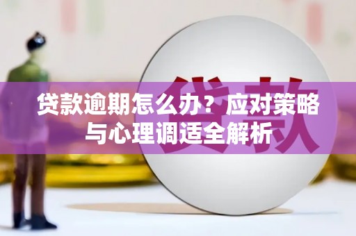 会东贷款逾期怎么办？应对策略与心理调适全解析