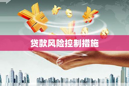 会东贷款风险控制措施