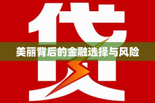 会东美丽背后的金融选择与风险