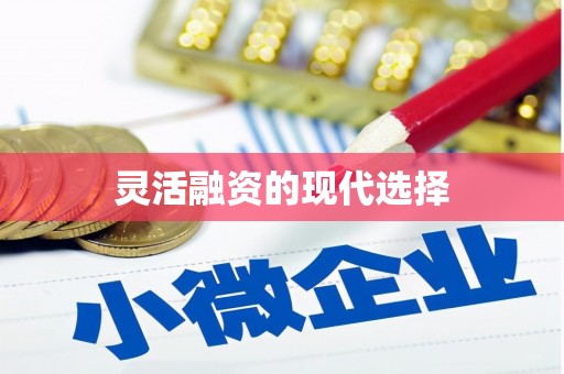 会东灵活融资的现代选择