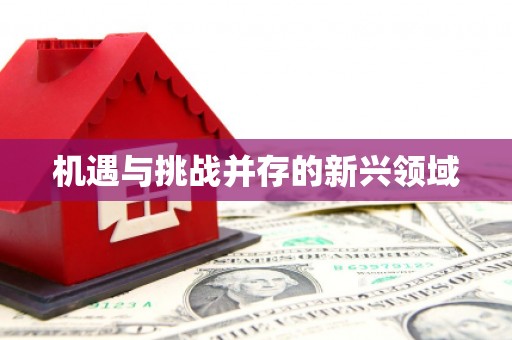 会东机遇与挑战并存的新兴领域