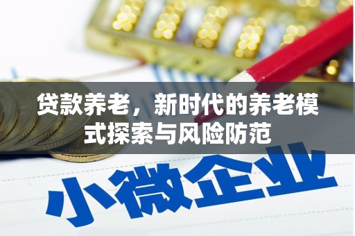 会东贷款养老，新时代的养老模式探索与风险防范