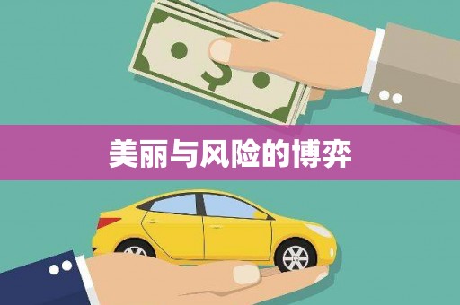 会东美丽与风险的博弈