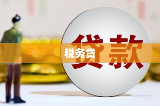 会东税务贷