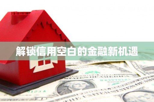 会东解锁信用空白的金融新机遇