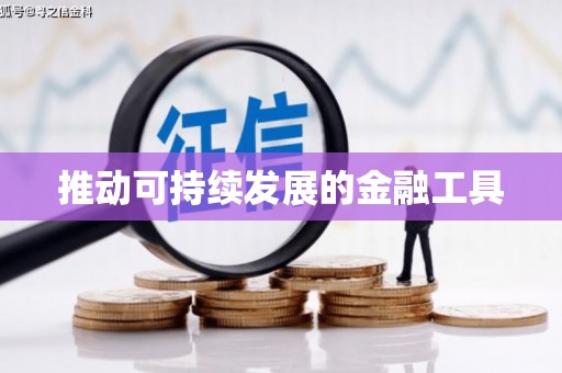 会东推动可持续发展的金融工具