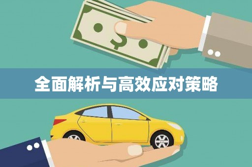 会东全面解析与高效应对策略