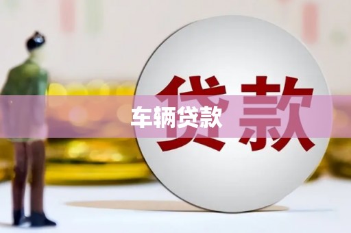 会东车辆贷款